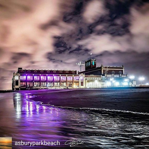 Meet your Posher, Libby - Picture 15 of 16